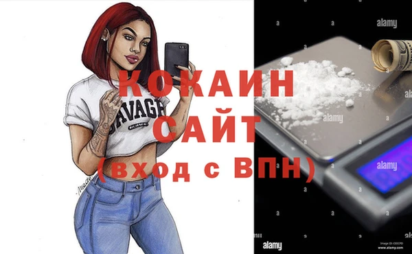 стаф Абаза