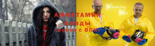 стаф Абаза