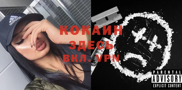 PSILOCYBIN Горняк