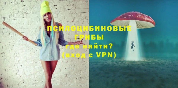 стаф Абаза