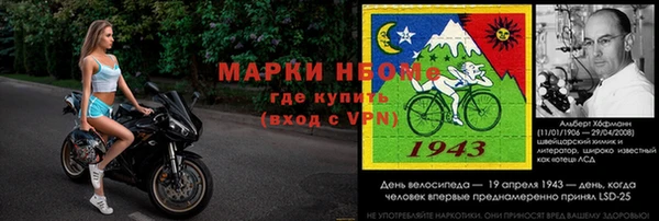 стаф Абаза
