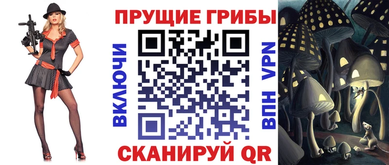 Псилоцибиновые грибы ЛСД  darknet формула  Холм  купить наркотики цена 
